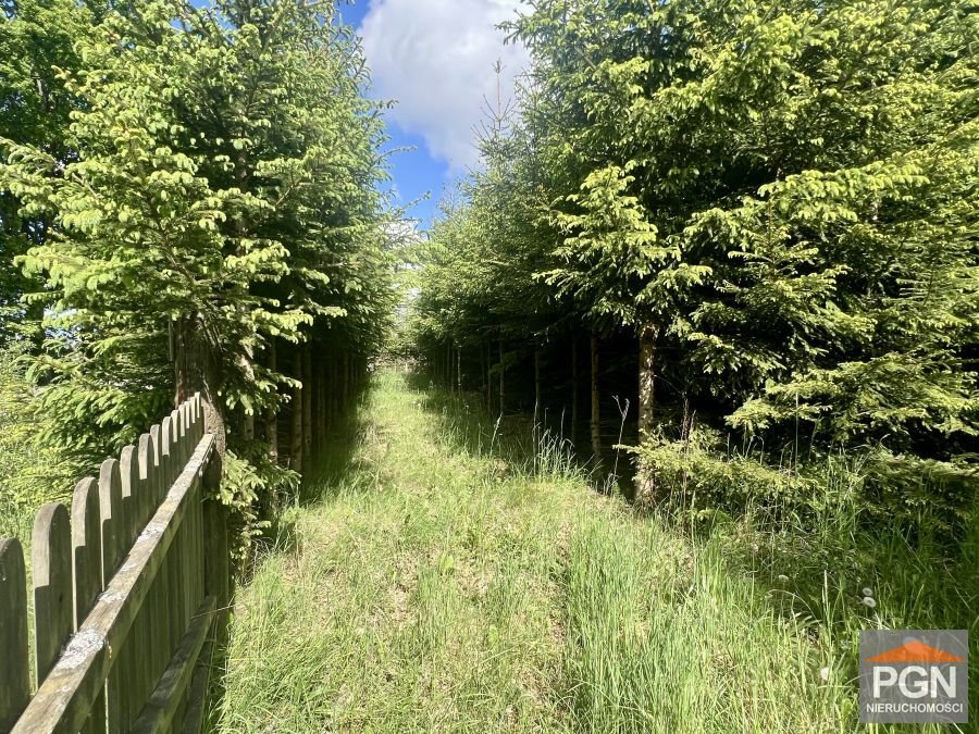 Duża działka 4500 m² z rozpoczętą budową domu, media, ogrodzona KAMIEŃ POMORSKI OKOLICA  4 500m2 Foto 1