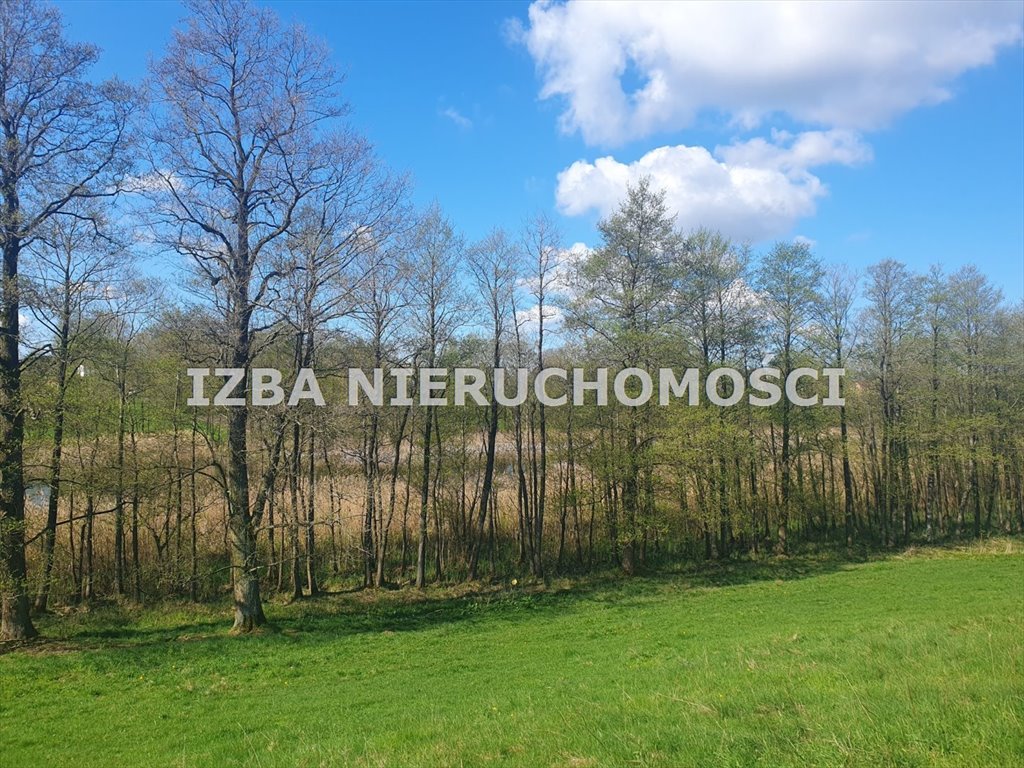 Działka rekreacyjna na sprzedaż Grabnik  3 000m2 Foto 3