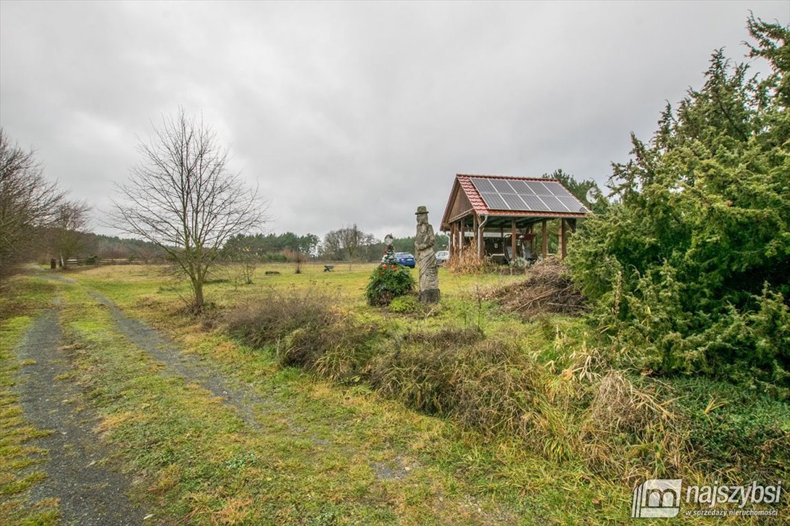 Lokal użytkowy na sprzedaż Bledzew  440m2 Foto 20