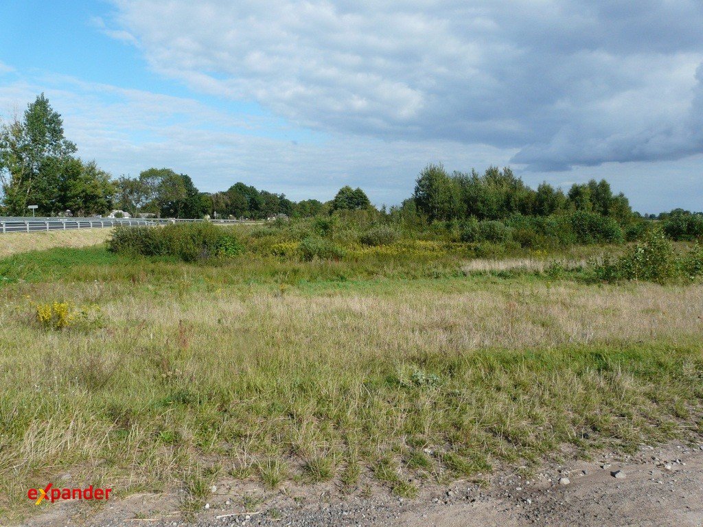 Działka 4,5 ha z dostępem do drogi krajowej nr 10 Blinno  4 500m2 Foto 1