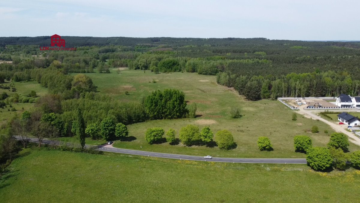 Działka przemysłowo-handlowa na sprzedaż Droszków, Zielonogórska  31 791m2 Foto 3