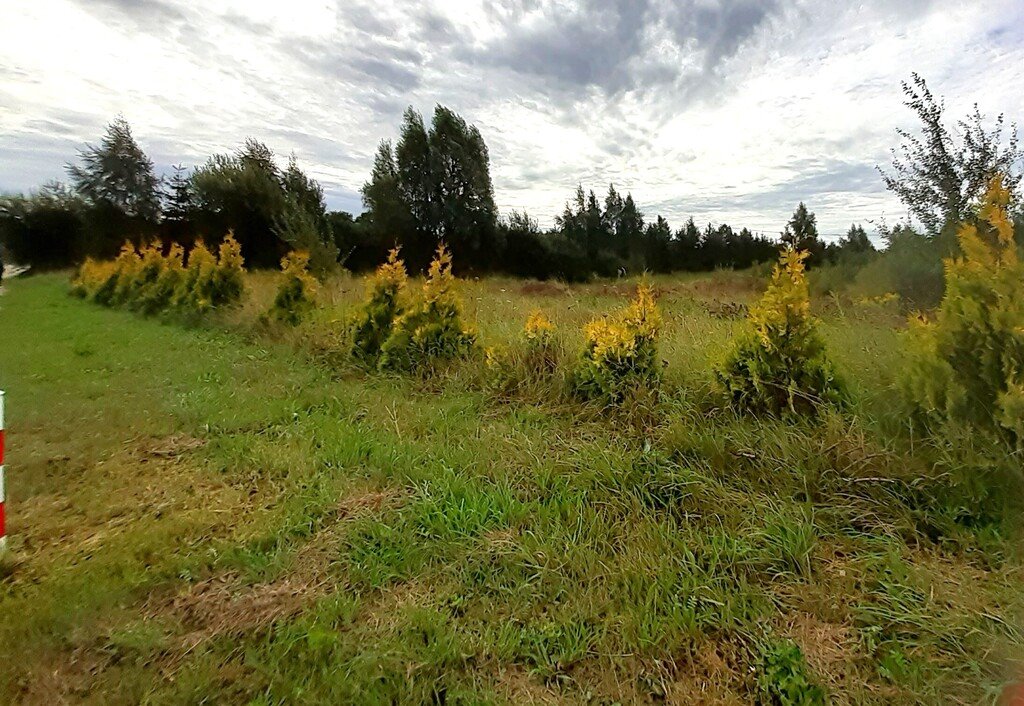 Na sprzedaż działka 2613 m² w Glinczu z MPZP, media i dojazd Glincz, Cedrowa  2 613m2 Foto 1