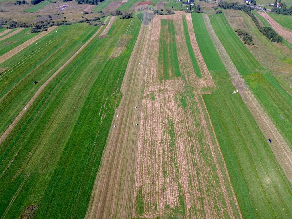 Działka rolna na sprzedaż Stare Bystre  5 013m2 Foto 6