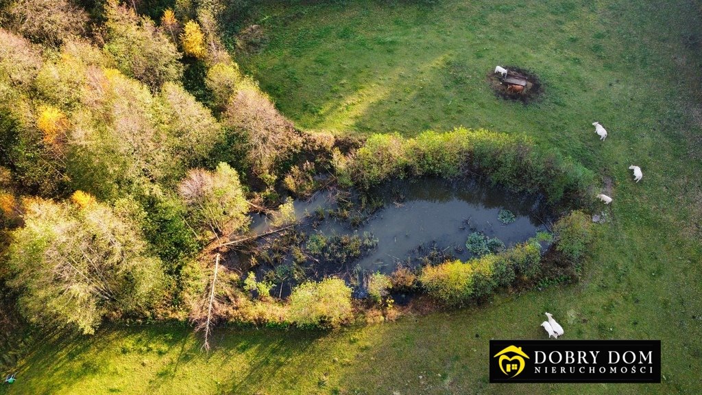 Działka rolna na sprzedaż Przerośl  43 316m2 Foto 11