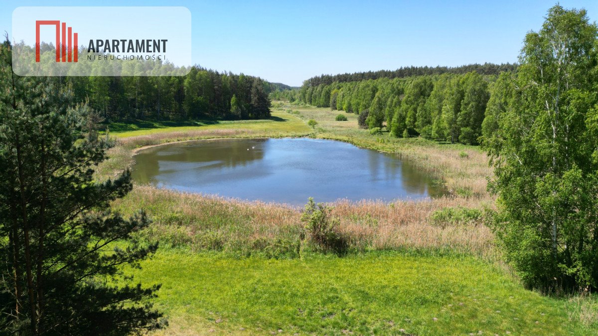 Działka budowlana na sprzedaż Borzechowo  46 200m2 Foto 1