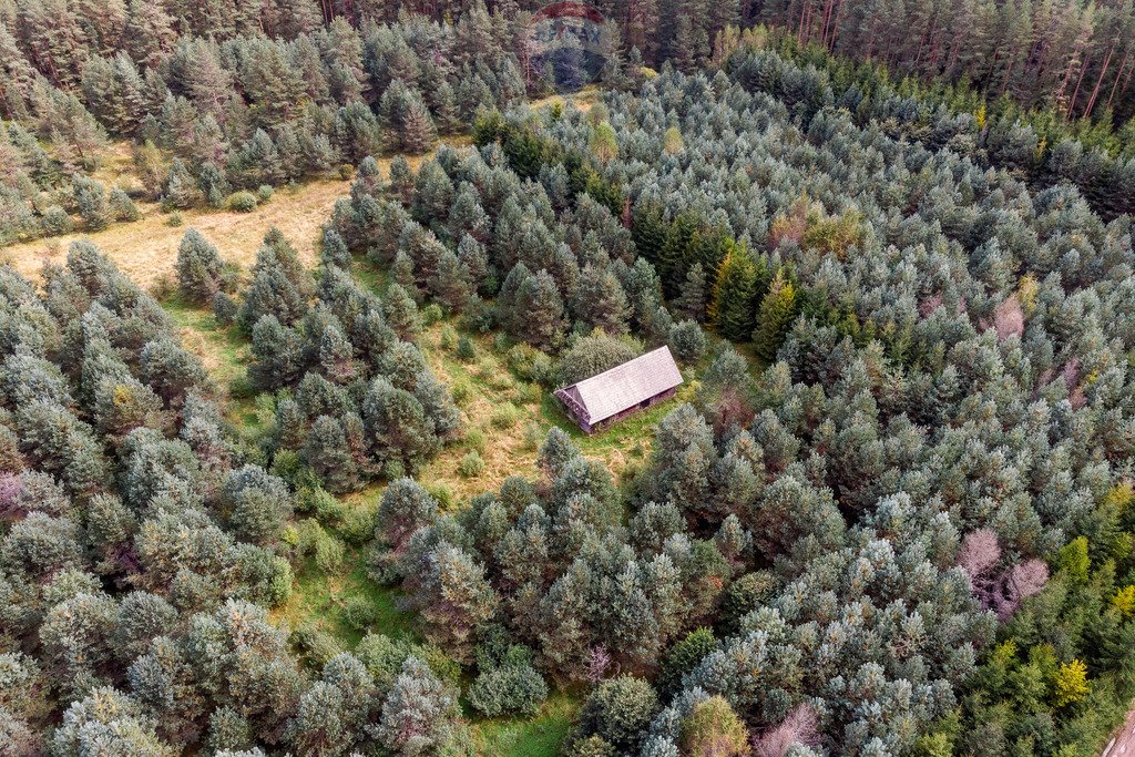 Działka rolna na sprzedaż Jabłonka, Leśna  20 000m2 Foto 19