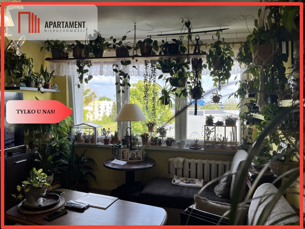 Sympatyczne 2-pokojowe mieszkanie z dużą piwnicą i słoneczną loggią Wałcz  54m2 Foto 1