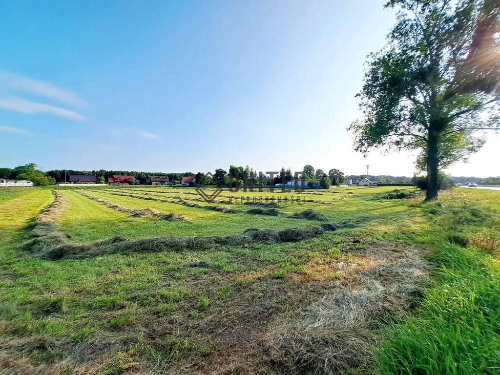 Działka inwestycyjna na sprzedaż Borowa, Klonowa  11 265m2 Foto 4