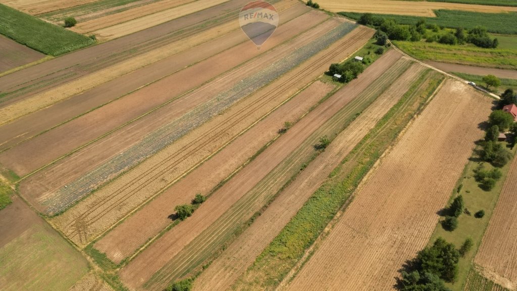 Działka budowlana na sprzedaż Krzysztoforzyce  5 500m2 Foto 3