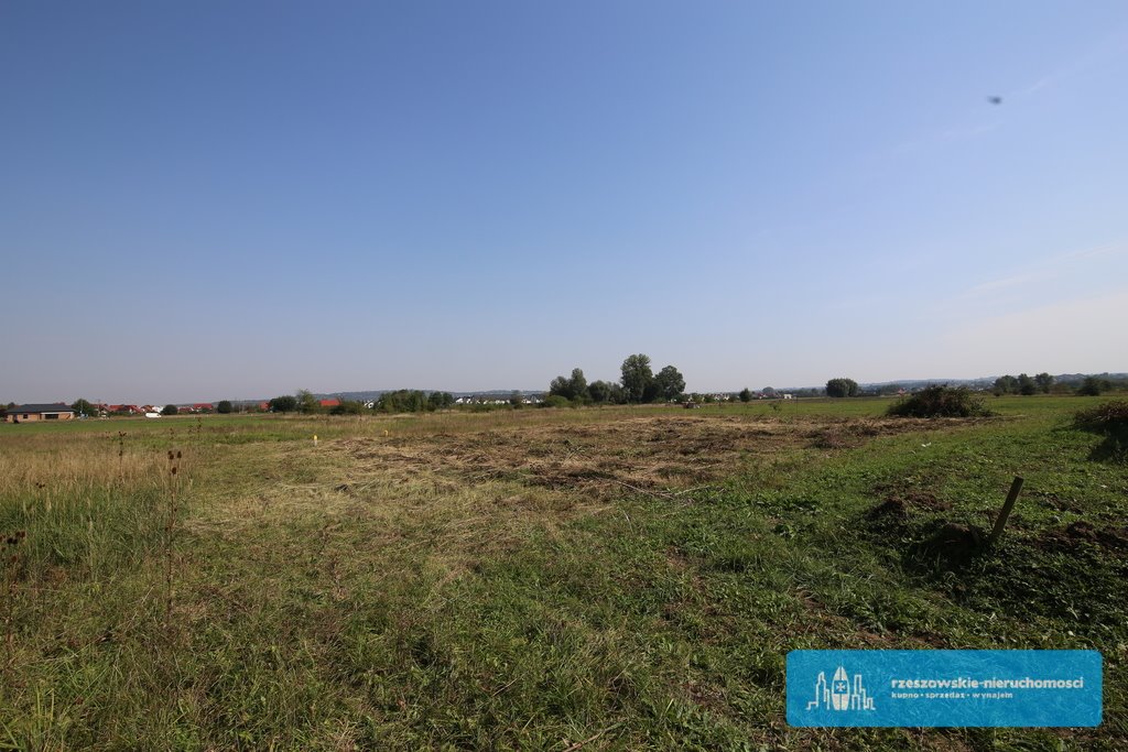 Działka budowlana na sprzedaż Rzeszów, Senatorska  1 331m2 Foto 5