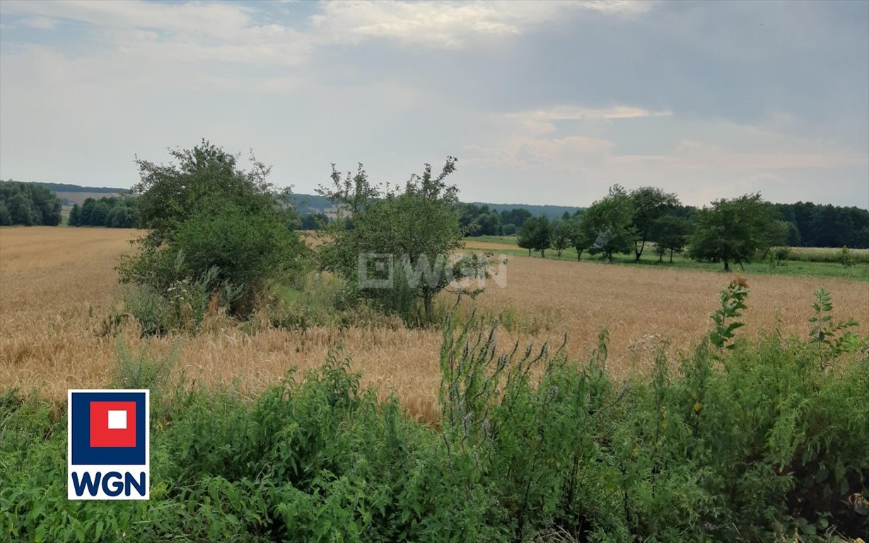 Działka rolna na sprzedaż Putnowice-Kolonia, Kolonia Putnowice  16 600m2 Foto 1