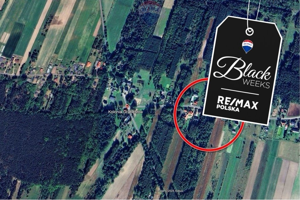 Działka budowlana na sprzedaż Kolonia Grabostów  32 785m2 Foto 1