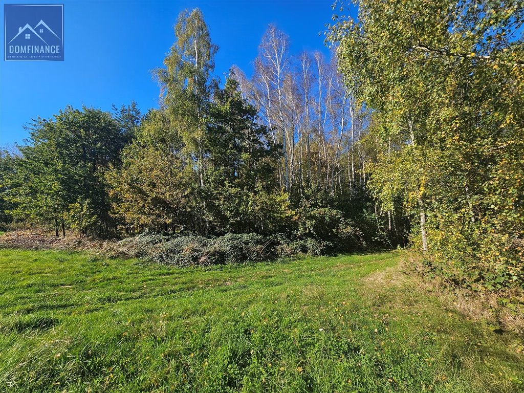 Działka inna na sprzedaż Sutków  29 500m2 Foto 18