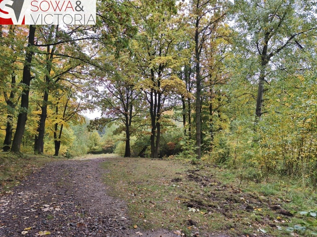 Działka pod zabudowę w otoczeniu lasu i górskich szlaków Stare Bogaczowice  1 091m2 Foto 1