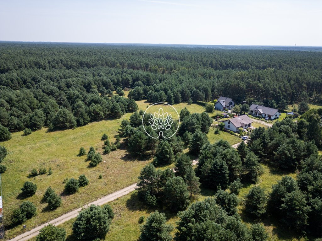 Działka 3629 m² z warunkami zabudowy w Drzewcach polecam Drzewce  3 629m2 Foto 1