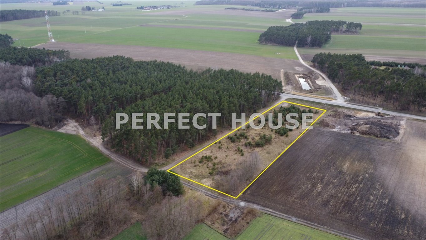 Polecam działkę 9000 m² pod zabudowę bliźniaczą, las, asfalt Mieczewo  9 000m2 Foto 1
