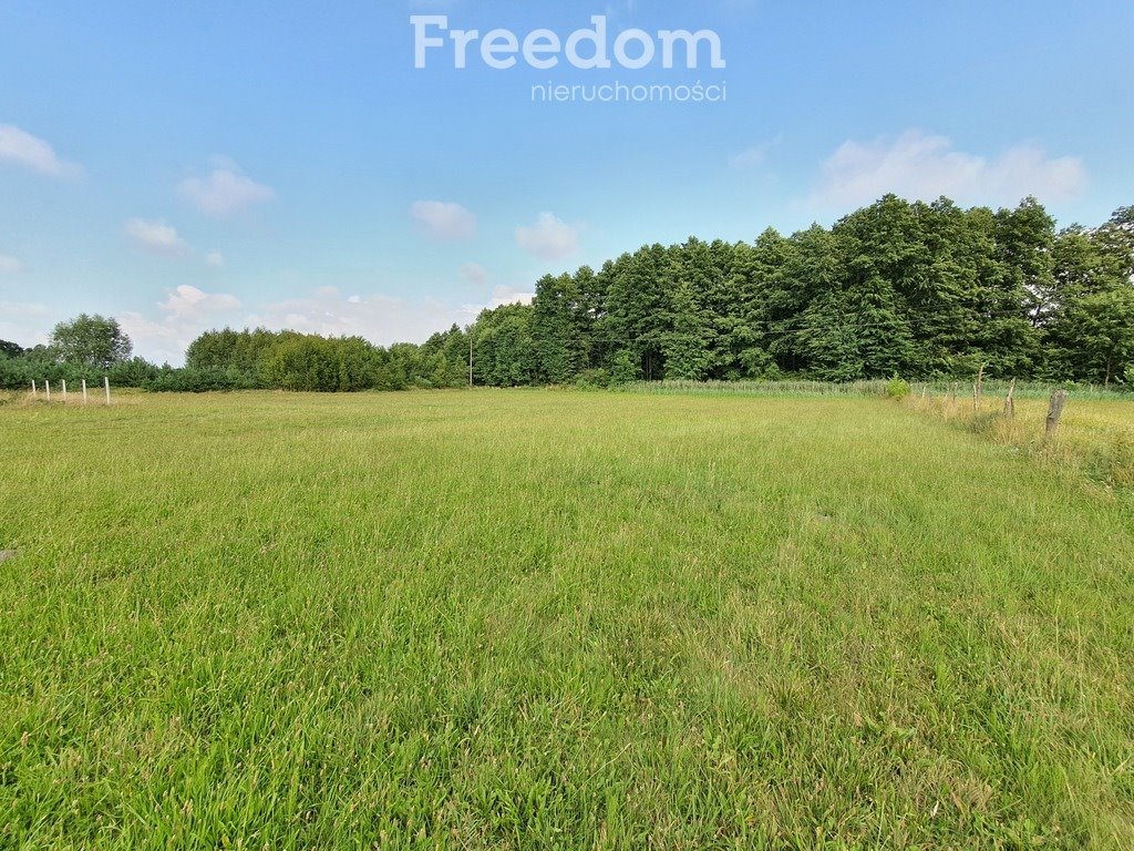 Działka budowlana na sprzedaż Michałki  5 367m2 Foto 8