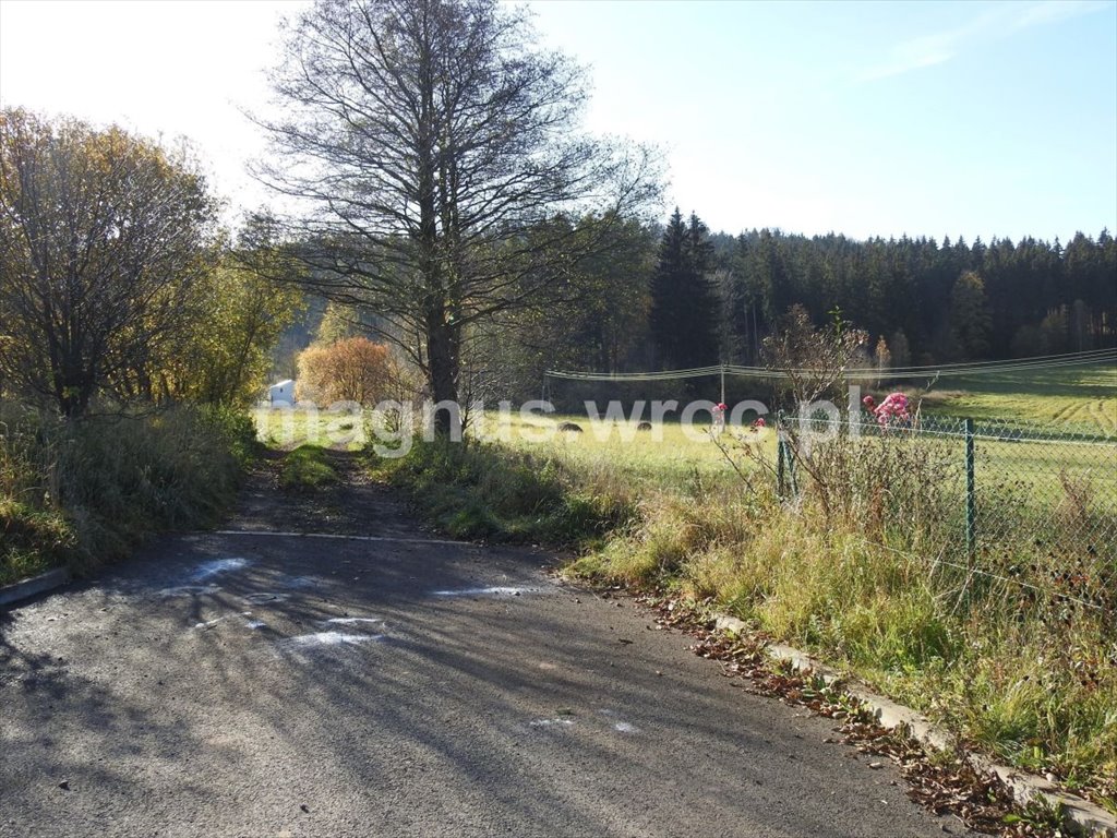 Działka budowlana na sprzedaż Boguszów-Gorce, Stary Lesieniec, Św. Barbary  1 000m2 Foto 14