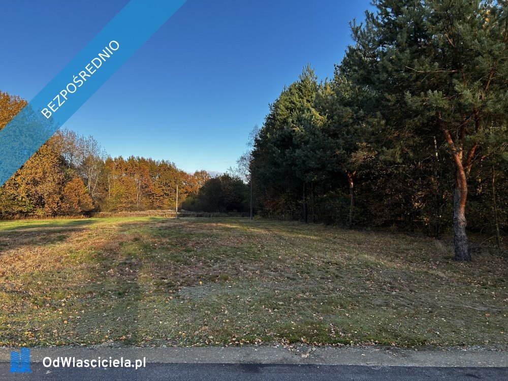 Działka budowlana na sprzedaż Rydzów  2 300m2 Foto 1