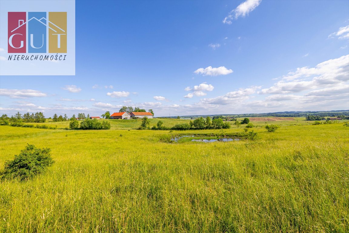 Działka rolna na sprzedaż Blanki  47 100m2 Foto 9