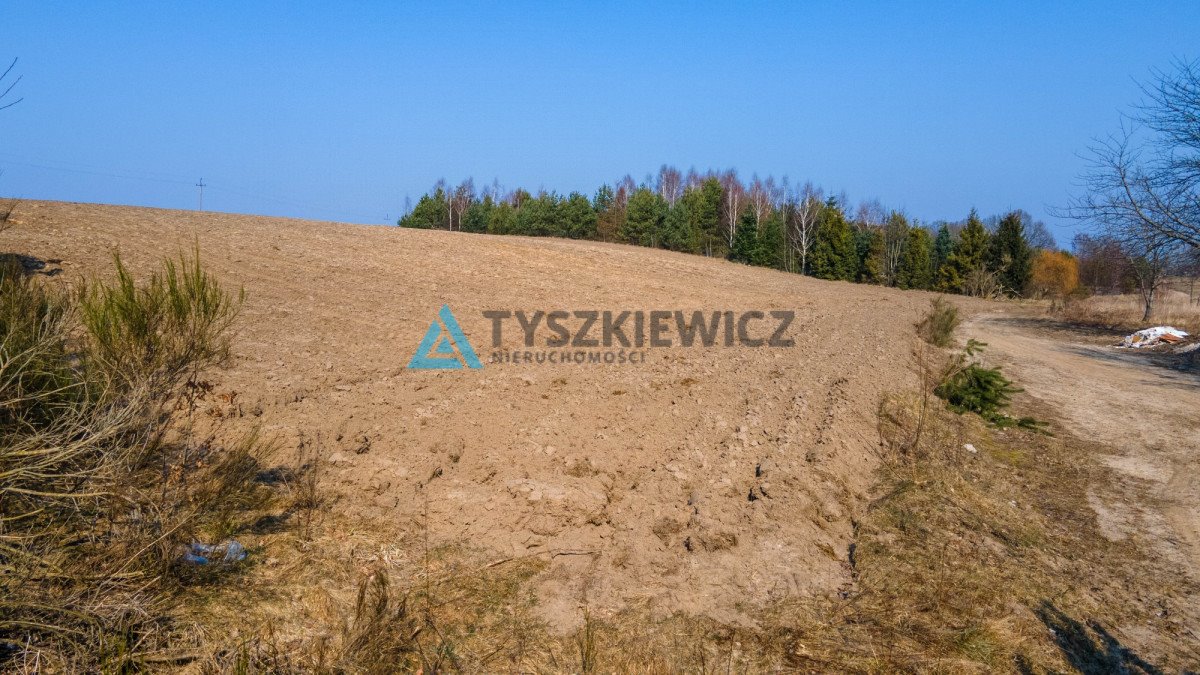 Działka rolna na sprzedaż Krokowa, Polna  10 724m2 Foto 3