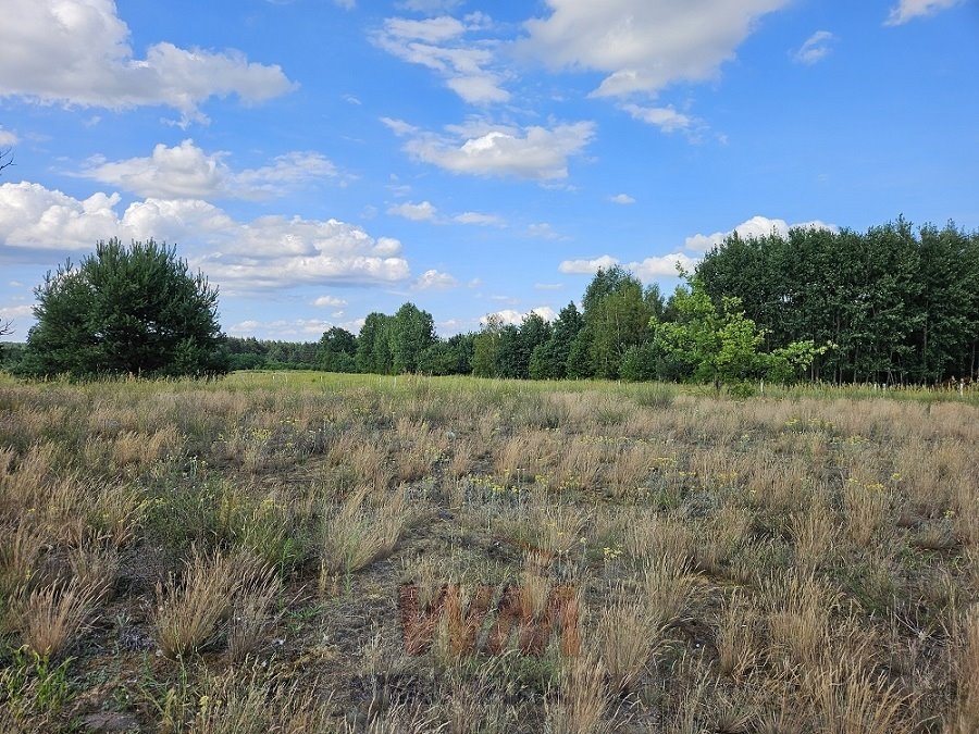 Działka budowlana na sprzedaż Sierzchów  1 006m2 Foto 2