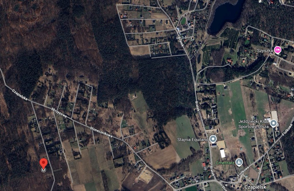Działka budowlana na sprzedaż Czapielsk  1 300m2 Foto 1