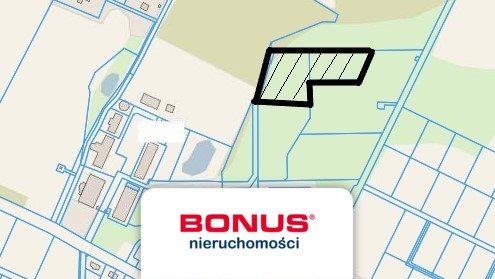 Działka inwestycyjna pod zabudowę wielorodzinną, 10 000 m² Skarbimierzyce  10 000m2 Foto 1