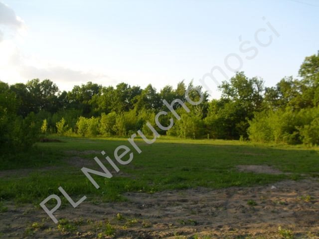 Działka usługowa 10 000 m² z mediami i planem zagospodarowania Wolica  10 000m2 Foto 1