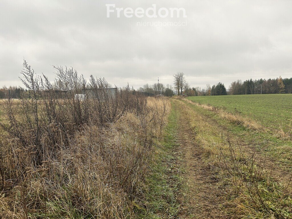 Działka inna na sprzedaż Karbowskie  3 037m2 Foto 1