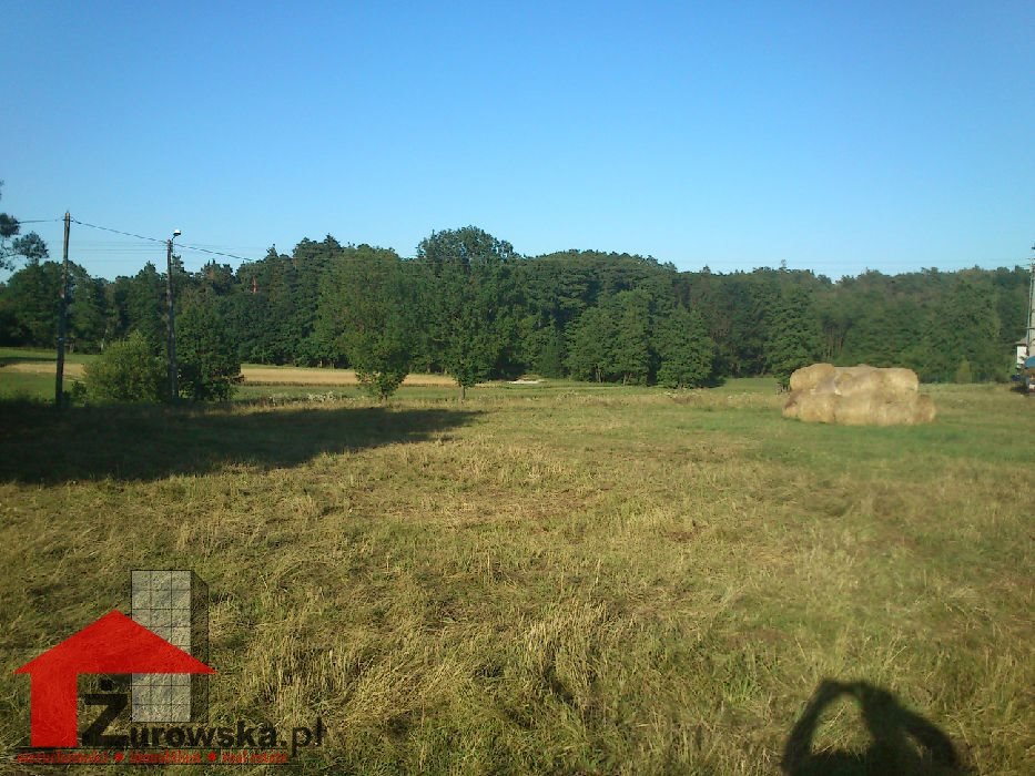 Działka budowlana 2500 m² z mediami, lasy i świetna komunikacja Ujazd, Jaryszów, Kolonia Jaryszów  2 500m2 Foto 1