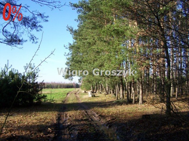 Działka leśna na sprzedaż Nasielsk, Bronin  4 561m2 Foto 12