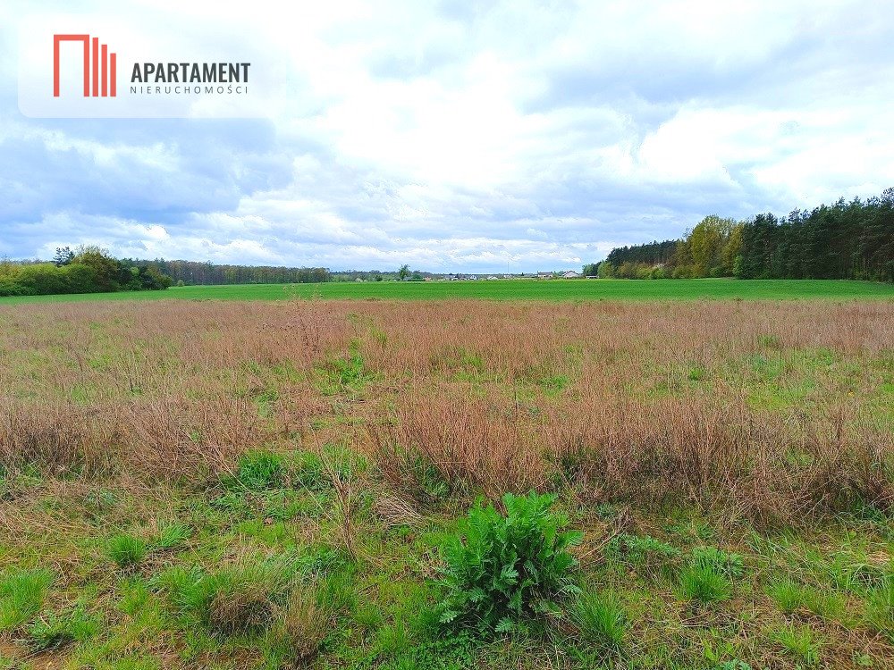 Działka budowlana na sprzedaż Tryszczyn, Leśna  1 022m2 Foto 5