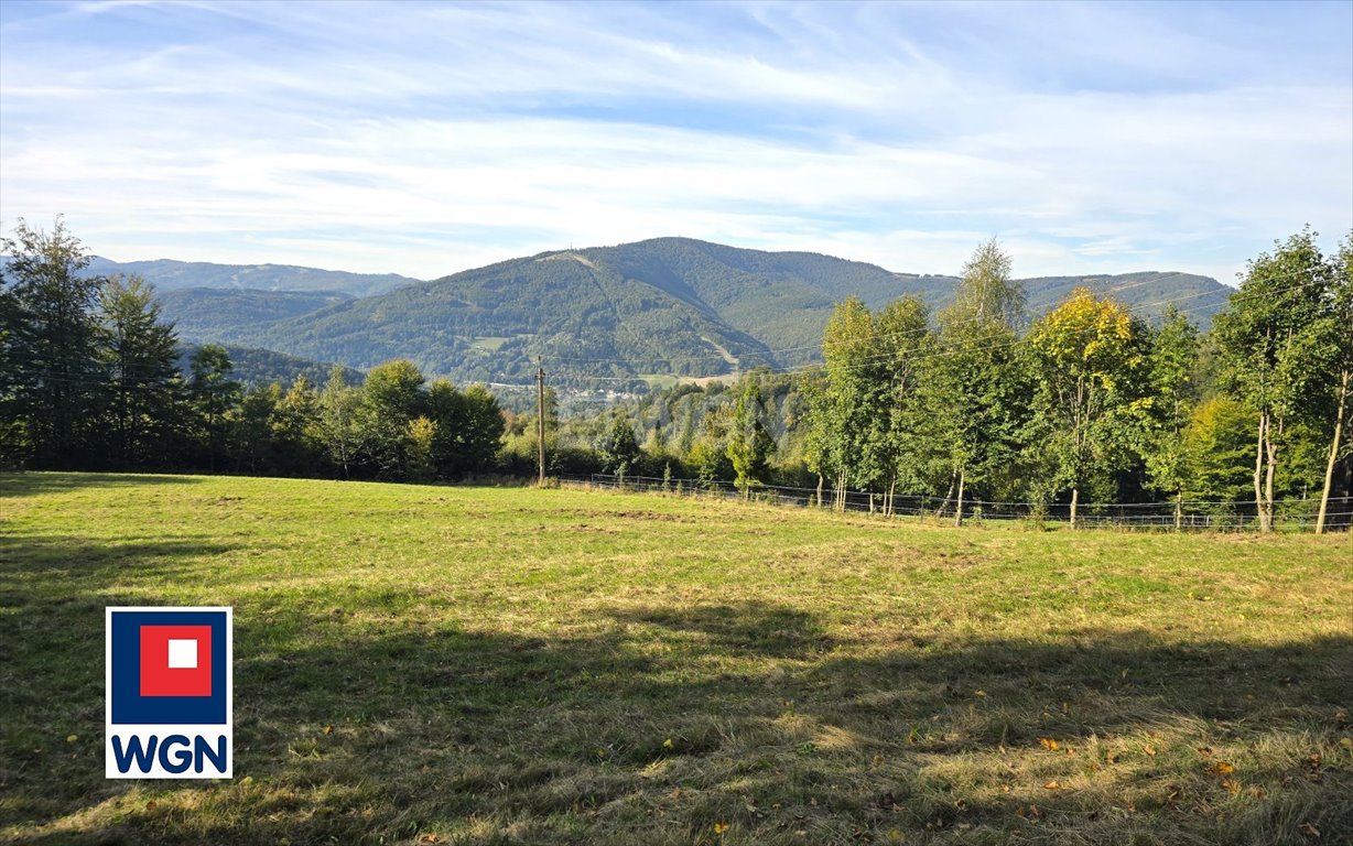 Działka siedliskowa na sprzedaż Ustroń, Równica  11 085m2 Foto 2