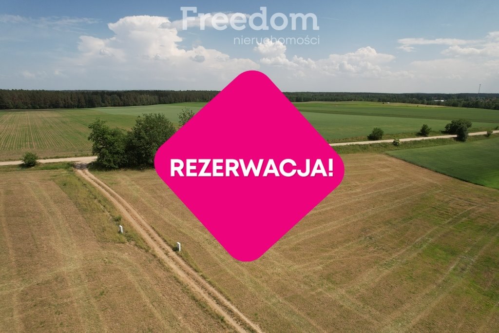 Działka budowlana na sprzedaż Grabnik  3 000m2 Foto 7