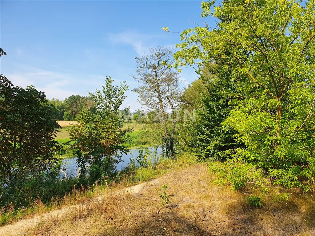 Działka budowlana na sprzedaż Pruszkowo  5 909m2 Foto 10