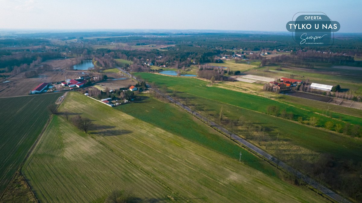 Działka rolna na sprzedaż Nowy Adamów, Dobrej Wróżki  13 754m2 Foto 6