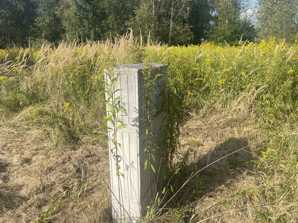 Działka budowlana na sprzedaż Żółwia Błoć  1 402m2 Foto 7