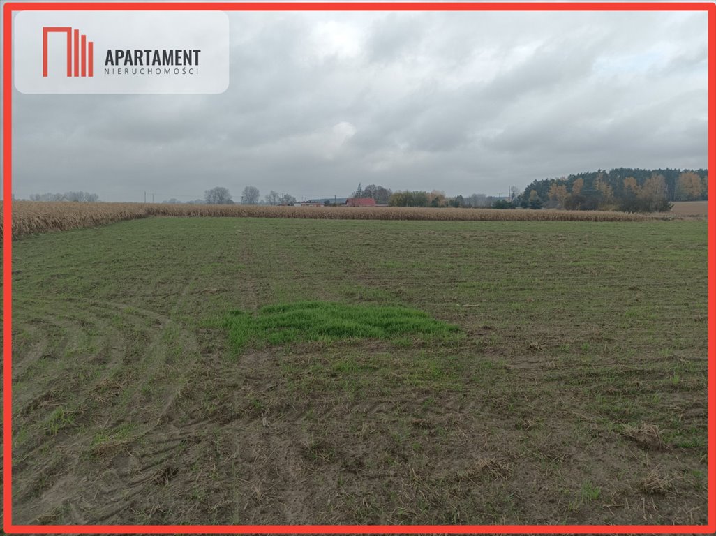 Działka budowlana 3500 m² z warunkami zabudowy, 3 budynki Krążkowo  3 500m2 Foto 1