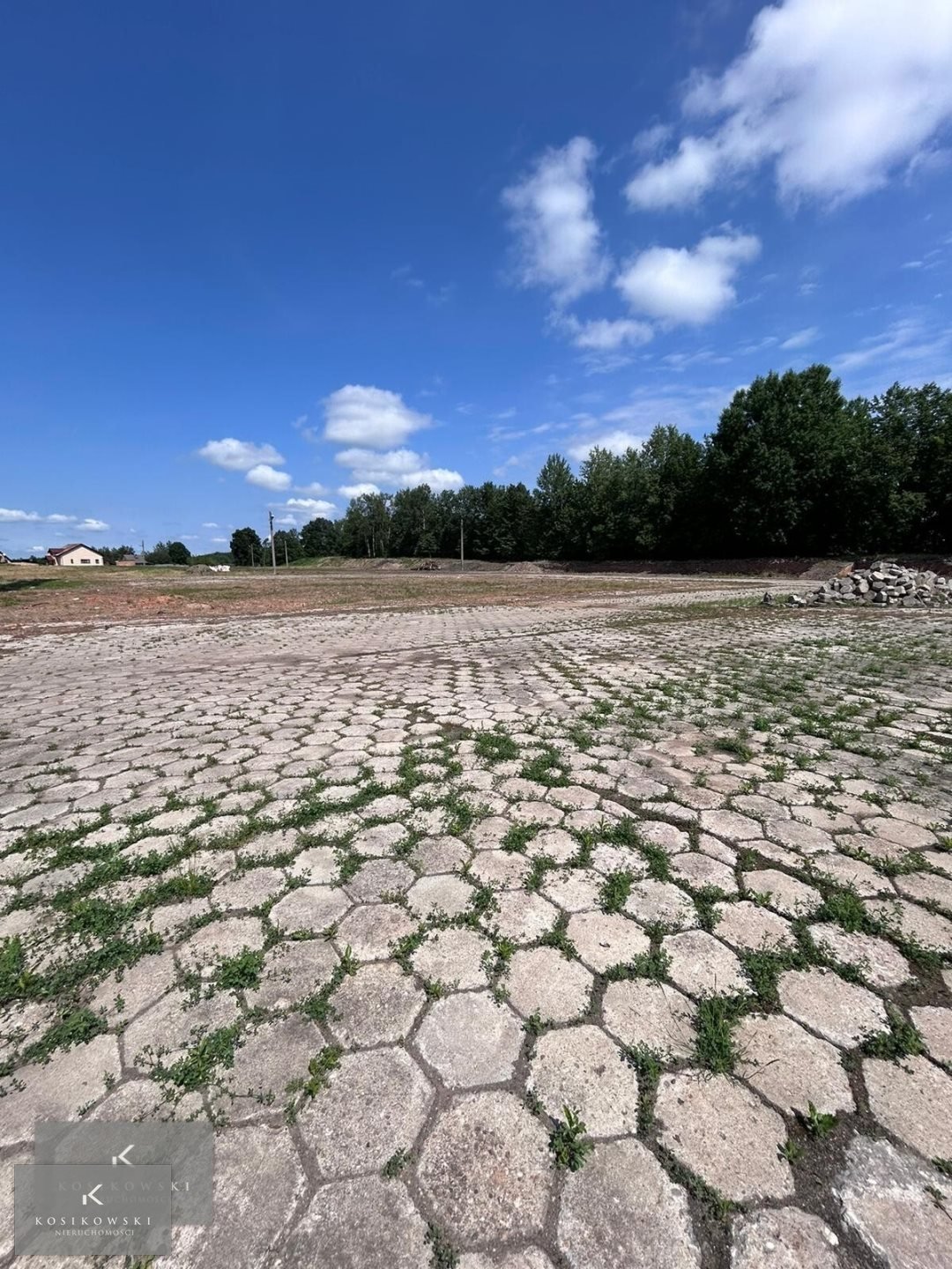 Działka inna na sprzedaż Pokój, gmina Pokój  5 000m2 Foto 7