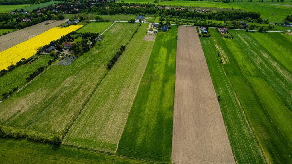 Działka bud.-rolna 8 473 m2 z dostępem do drogi asfaltowej Dobieszków, Klonowa  2 017m2 Foto 1