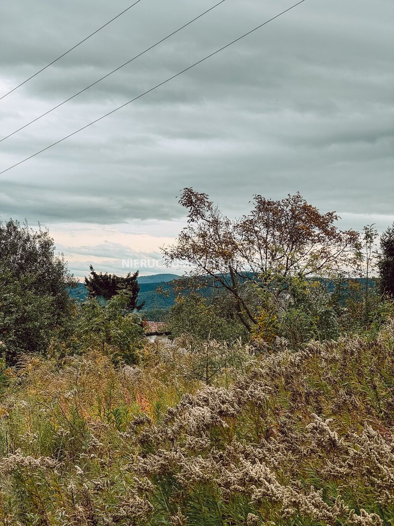 Działka siedliskowa na sprzedaż Lanckorona  7 821m2 Foto 4