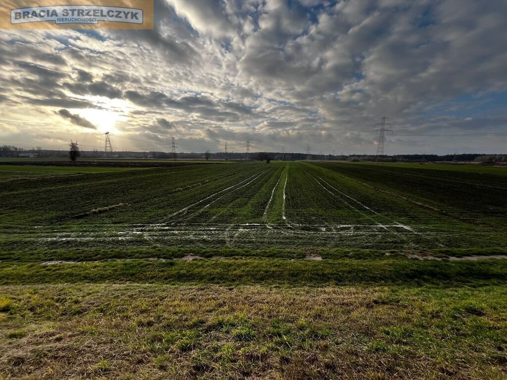 Działka rolna 4939 m² w spokojnej okolicy, media w drodze Świerże Górne  4 939m2 Foto 1