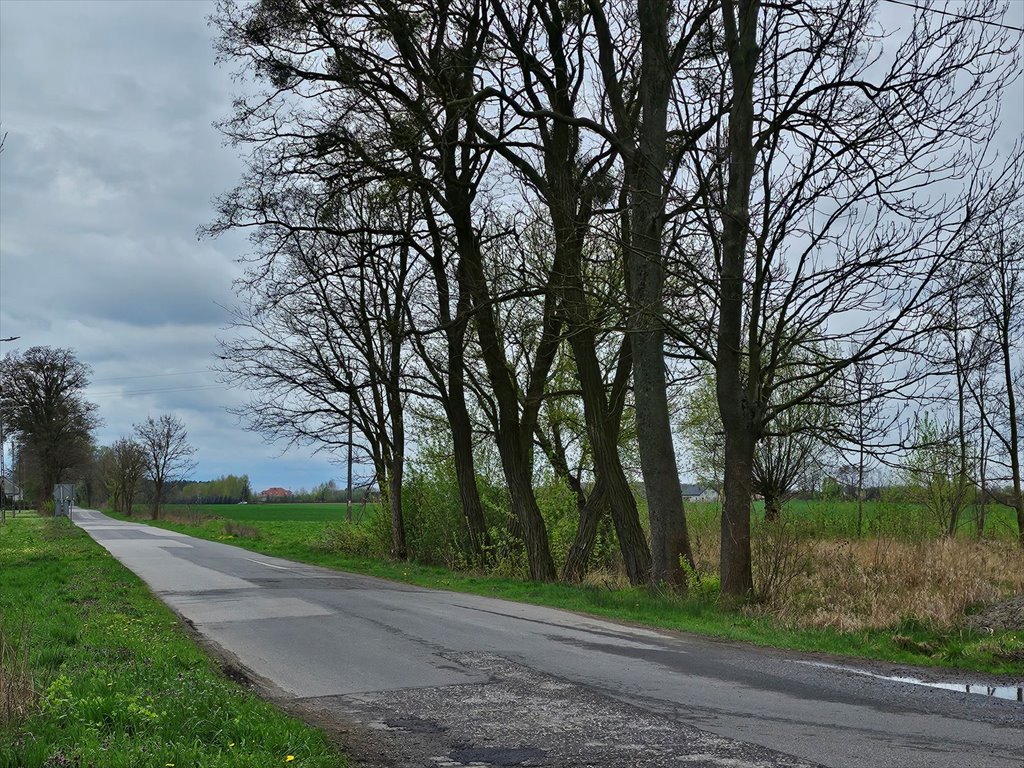 Działka siedliskowa na sprzedaż Nowe Gnatowice  3 000m2 Foto 2