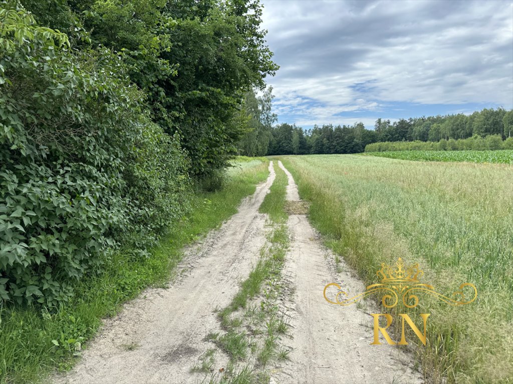 Działka rolna na sprzedaż Starościn  5 700m2 Foto 5