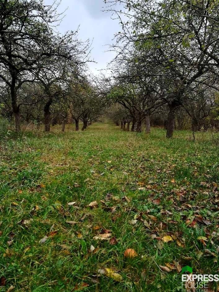 Działka budowlana na sprzedaż Grajewo, Sadowa  1 050m2 Foto 1