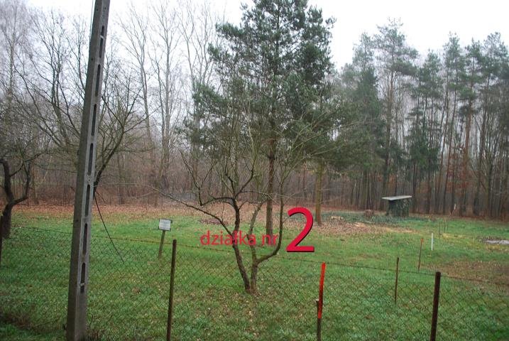 Dwie działki z domkiem, prąd, woda, zielona okolica Piaseczno  3 300m2 Foto 1