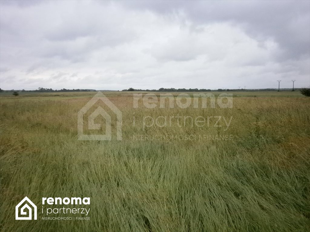 Działka rolna 10,5 ha z dostępem do mediów i blisko morza Chłopy  105 000m2 Foto 1