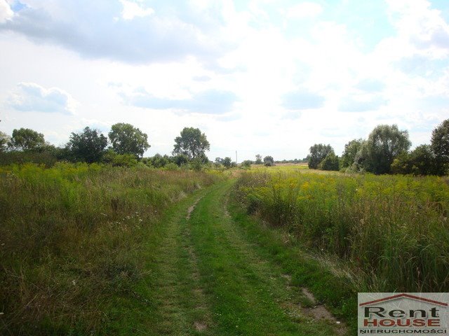 Działka budowlana na sprzedaż Mierzyn  1 230m2 Foto 3