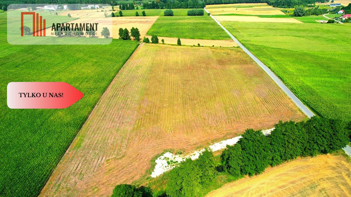 Działka budowlana na sprzedaż Toporzysko  1 000m2 Foto 4